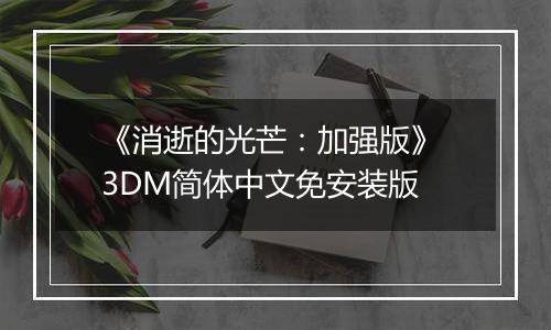 《消逝的光芒：加强版》 3DM简体中文免安装版