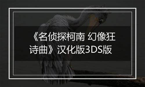 《名侦探柯南 幻像狂诗曲》汉化版3DS版
