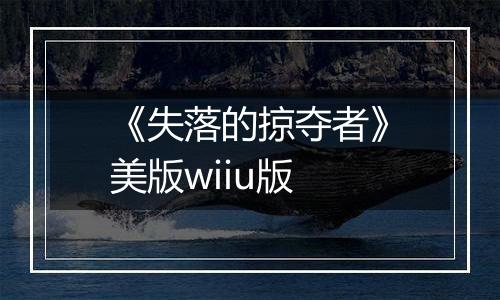 《失落的掠夺者》美版wiiu版
