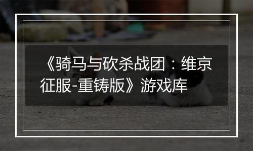 《骑马与砍杀战团：维京征服-重铸版》游戏库