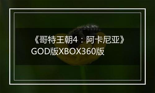 《哥特王朝4：阿卡尼亚》GOD版XBOX360版