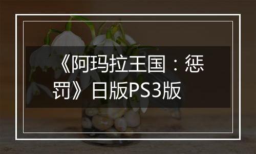 《阿玛拉王国：惩罚》日版PS3版