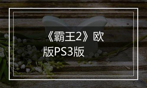 《霸王2》欧版PS3版