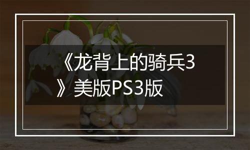 《龙背上的骑兵3》美版PS3版