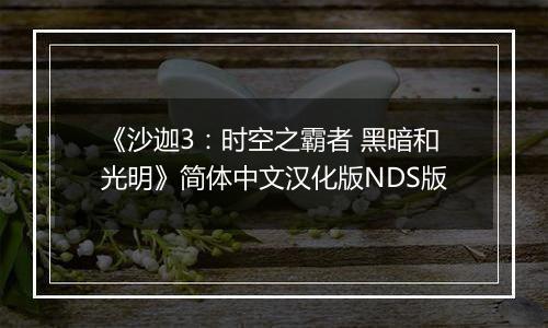 《沙迦3：时空之霸者 黑暗和光明》简体中文汉化版NDS版