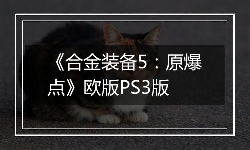 《合金装备5：原爆点》欧版PS3版