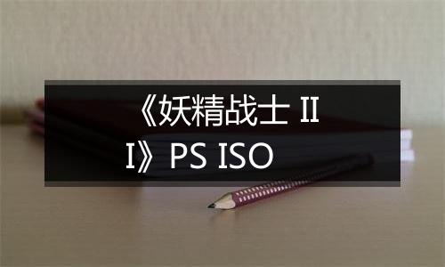 《妖精战士 III》PS ISO