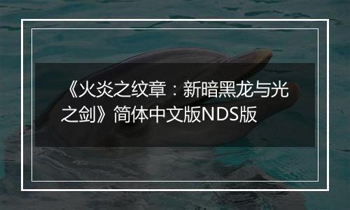 《火炎之纹章：新暗黑龙与光之剑》简体中文版NDS版