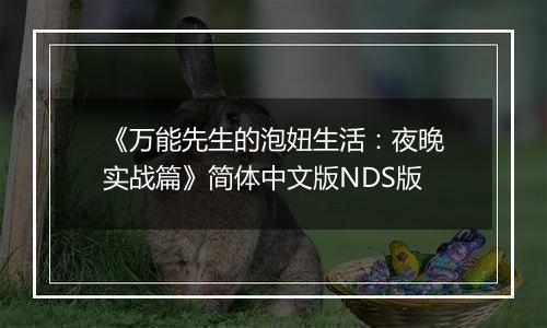 《万能先生的泡妞生活：夜晚实战篇》简体中文版NDS版