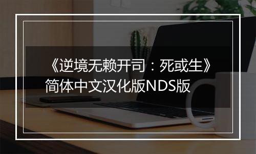 《逆境无赖开司：死或生》简体中文汉化版NDS版