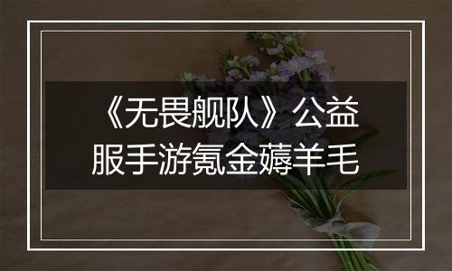 《无畏舰队》公益服手游氪金薅羊毛