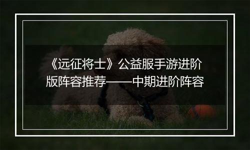 《远征将士》公益服手游进阶版阵容推荐——中期进阶阵容