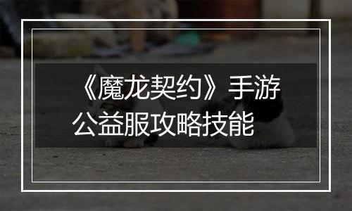《魔龙契约》手游公益服攻略技能