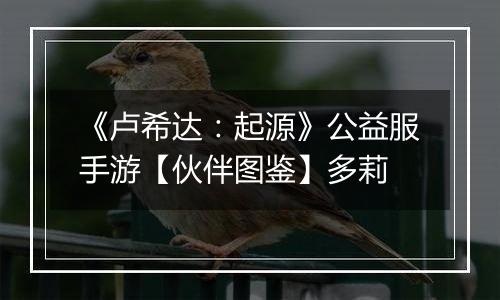 《卢希达：起源》公益服手游【伙伴图鉴】多莉