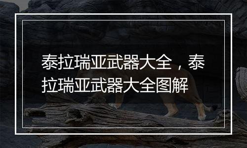 泰拉瑞亚武器大全，泰拉瑞亚武器大全图解