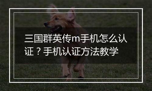 三国群英传m手机怎么认证？手机认证方法教学