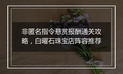 非匿名指令悬赏报酬通关攻略，白曜石珠宝店阵容推荐