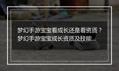 梦幻手游宝宝看成长还是看资质？梦幻手游宝宝成长资质及技能数量占比教学