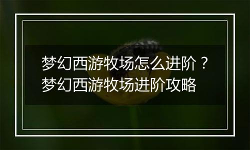 梦幻西游牧场怎么进阶？梦幻西游牧场进阶攻略