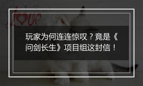 玩家为何连连惊叹？竟是《问剑长生》项目组这封信！