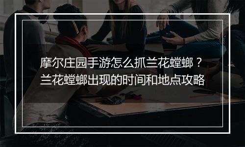 摩尔庄园手游怎么抓兰花螳螂？兰花螳螂出现的时间和地点攻略
