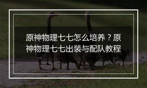 原神物理七七怎么培养？原神物理七七出装与配队教程