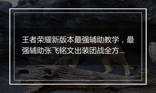 王者荣耀新版本最强辅助教学，最强辅助张飞铭文出装团战全方位教学攻略