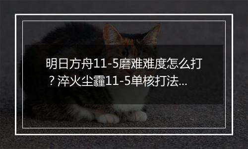 明日方舟11-5磨难难度怎么打？淬火尘霾11-5单核打法攻略