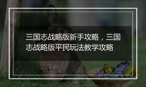 三国志战略版新手攻略，三国志战略版平民玩法教学攻略