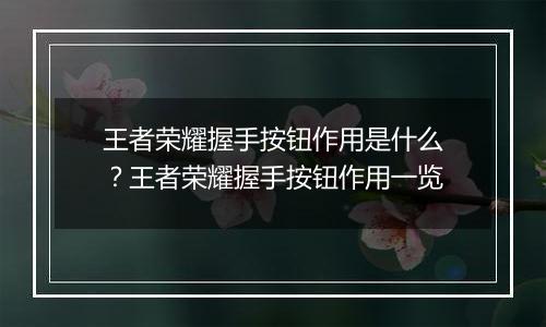 王者荣耀握手按钮作用是什么？王者荣耀握手按钮作用一览