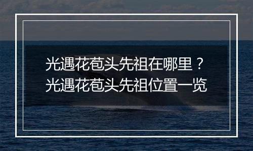 光遇花苞头先祖在哪里？光遇花苞头先祖位置一览