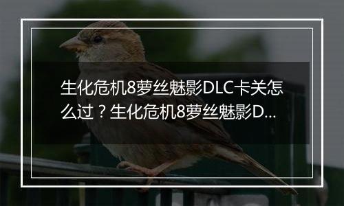 生化危机8萝丝魅影DLC卡关怎么过？生化危机8萝丝魅影DLC卡关难点分析