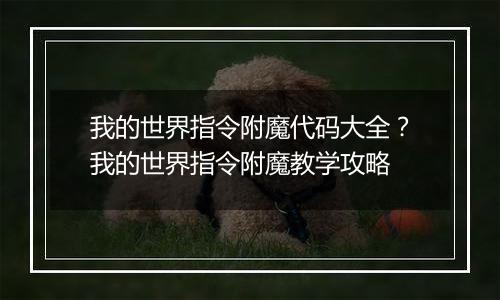 我的世界指令附魔代码大全？我的世界指令附魔教学攻略