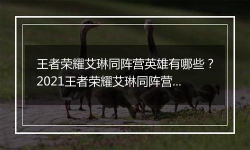王者荣耀艾琳同阵营英雄有哪些？2021王者荣耀艾琳同阵营英雄介绍