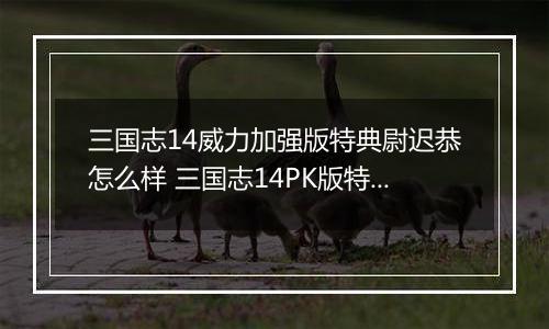 三国志14威力加强版特典尉迟恭怎么样 三国志14PK版特典人物尉迟恭背景介绍