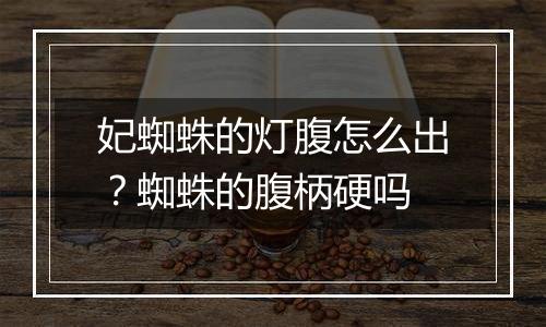妃蜘蛛的灯腹怎么出？蜘蛛的腹柄硬吗