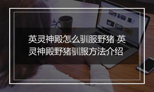 英灵神殿怎么驯服野猪 英灵神殿野猪驯服方法介绍