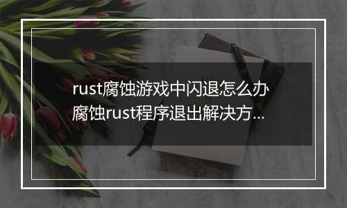 rust腐蚀游戏中闪退怎么办 腐蚀rust程序退出解决方法