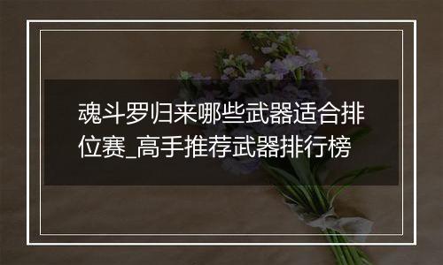 魂斗罗归来哪些武器适合排位赛_高手推荐武器排行榜