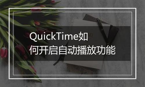 QuickTime如何开启自动播放功能