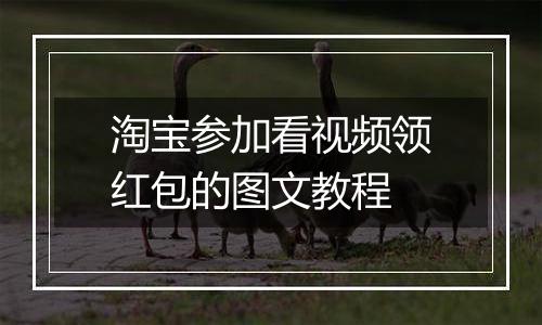 淘宝参加看视频领红包的图文教程