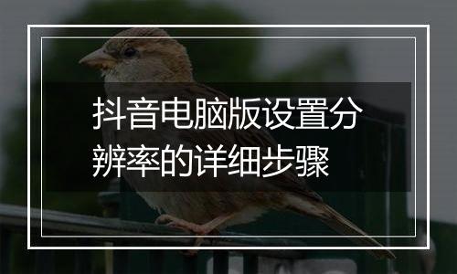 抖音电脑版设置分辨率的详细步骤