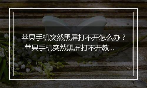 苹果手机突然黑屏打不开怎么办？-苹果手机突然黑屏打不开教程