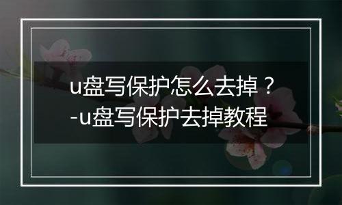 u盘写保护怎么去掉？-u盘写保护去掉教程