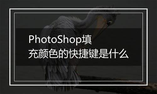 PhotoShop填充颜色的快捷键是什么