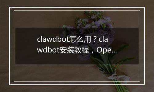 clawdbot怎么用？clawdbot安装教程，OpenClaw国内版本Molili上线