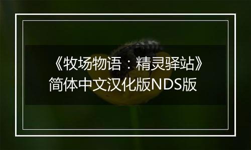 《牧场物语：精灵驿站》简体中文汉化版NDS版