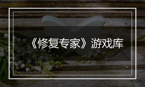 《修复专家》游戏库