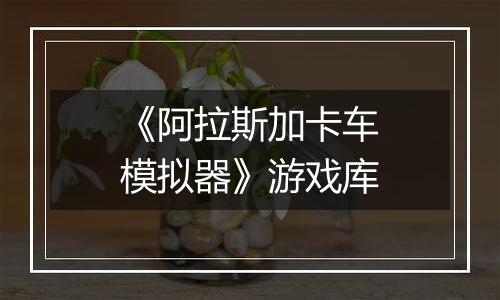 《阿拉斯加卡车模拟器》游戏库