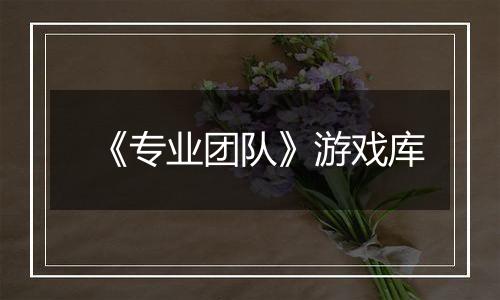 《专业团队》游戏库